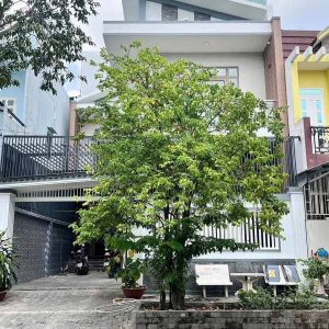 Bán Biệt Thự 1 trệt 1 lầu KDC Thới Nhựt 2 Ninh Kiều Cần Thơ DT 9x20m
