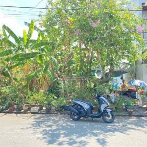 Bán Nền Đường Số 2 KDC Tây Đô EcoPark DT 4,5x20m, Lộ 15m hướng Tây