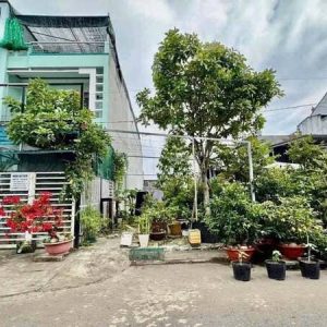 Bán Nền Đường Số 9 KDC Nông Thổ Sản Cần Thơ DT 5x24m Sổ Hồng Thổ Cư