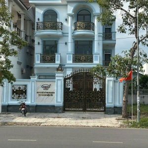 Bán biệt thự 2 lầu mặt tiền Nguyễn Văn Lưu, KDC Nam Long 1, diện tích 10x20,6m